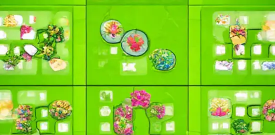 Weekend browsing and games